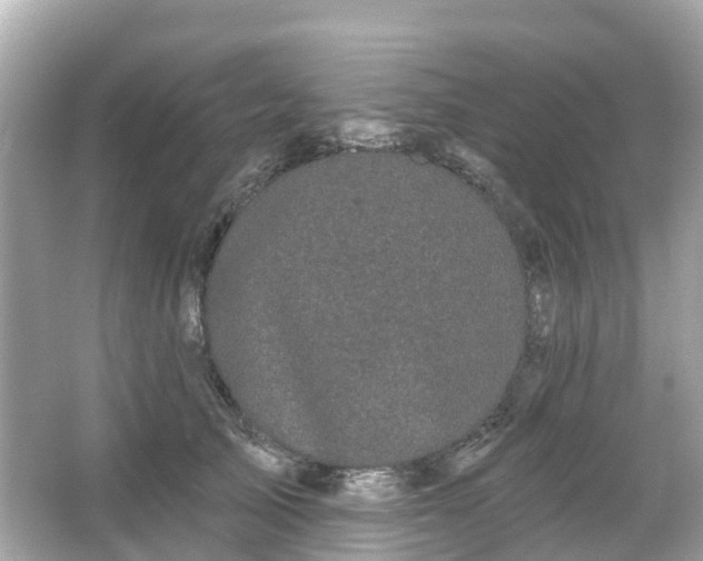 X0000066090705200603131204