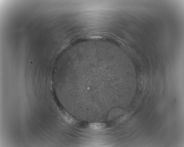 X0000066090707200603131204