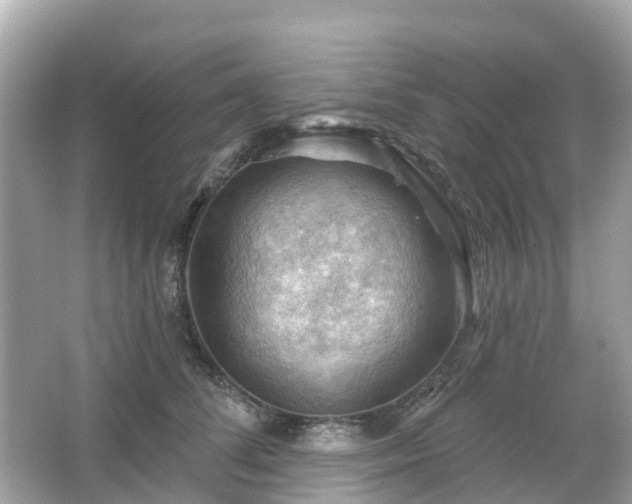 X0000066090708200603131204