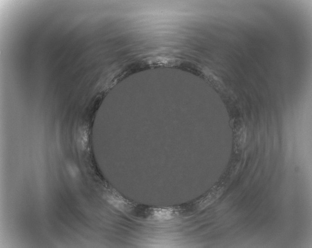 X0000066090709200603131204