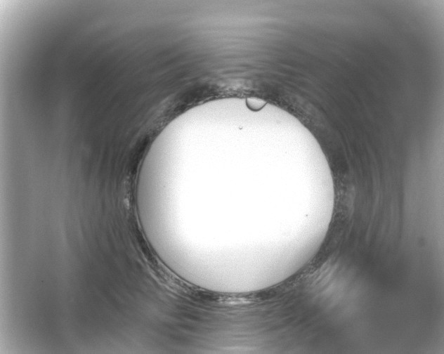 X0000066090710200603131204