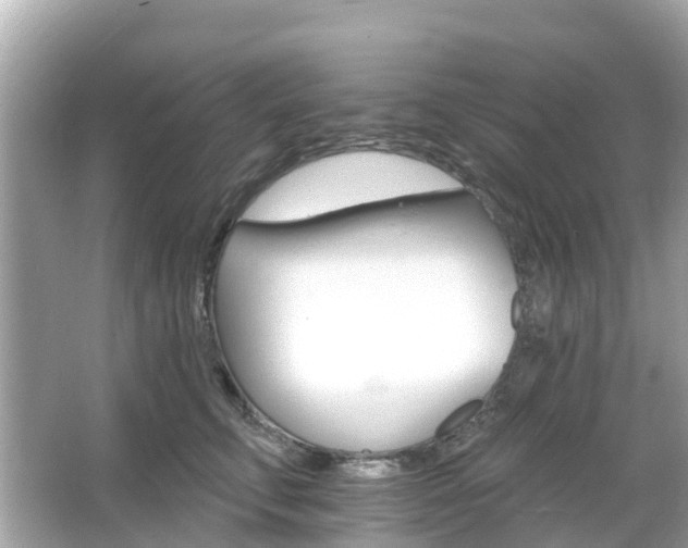 X0000066090711200603131204