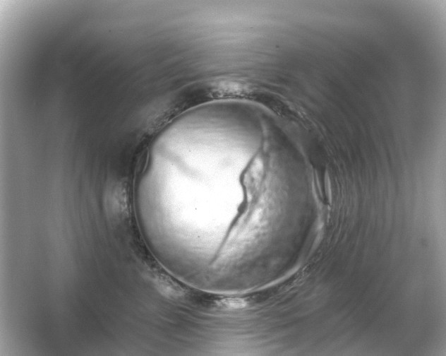 X0000066090715200603131204