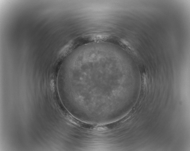 X0000066090716200603131204