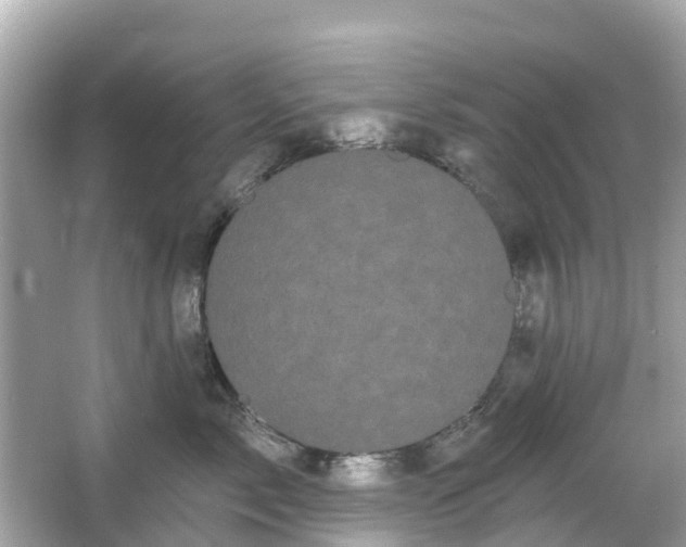 X0000066090717200603131204