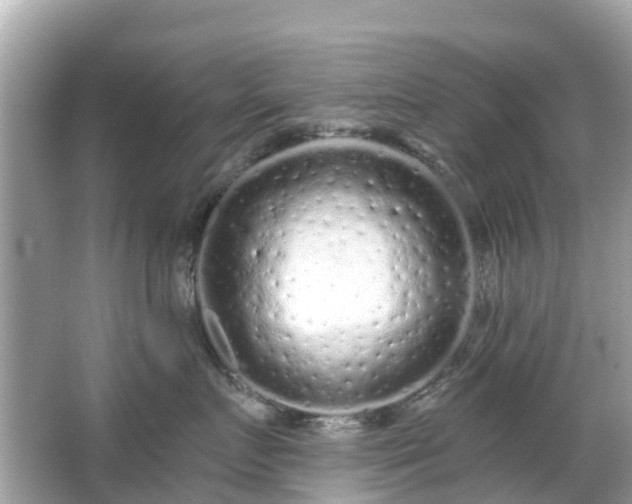 X0000066090719200603131204