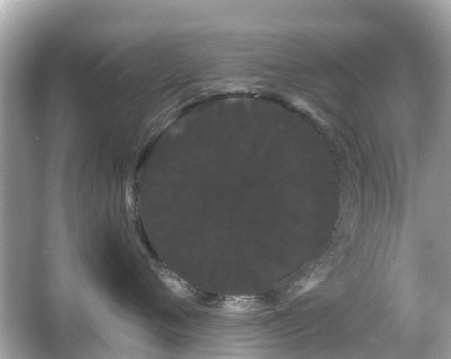 X0000066090720200603131204