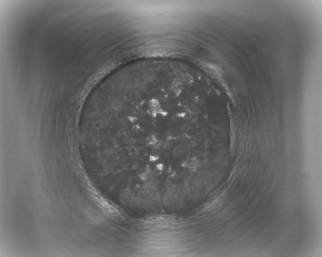 X0000066090721200603131203