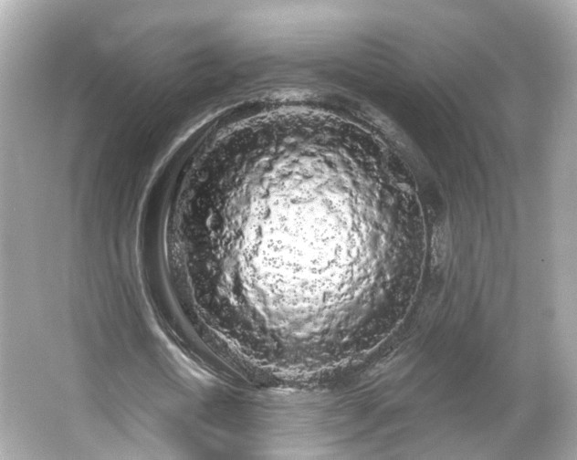 X0000066090722200603131203