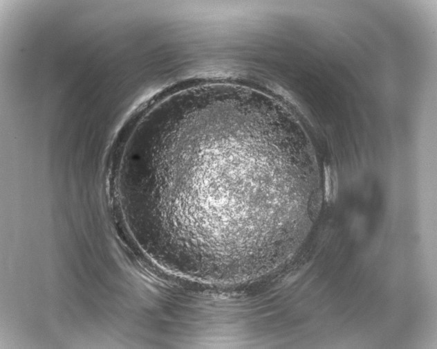 X0000066090723200603131203