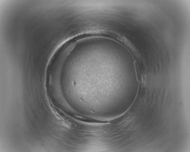 X0000066090724200603131203