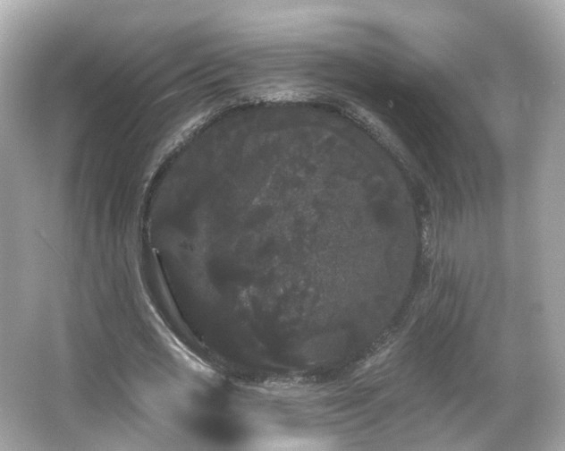 X0000066090725200603131203