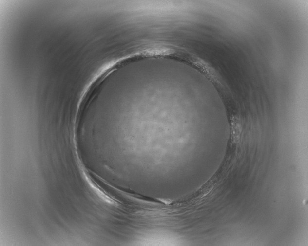 X0000066090726200603131203