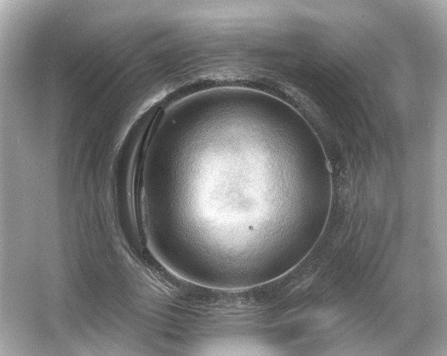 X0000066090727200603131203