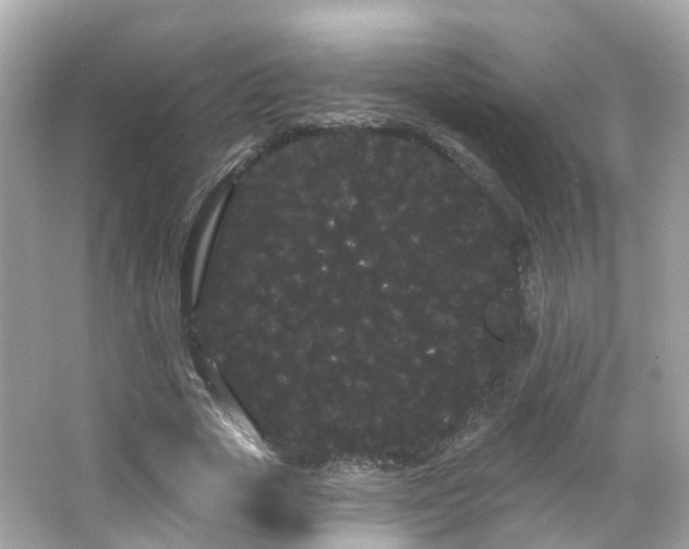 X0000066090729200603131203