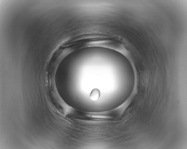 X0000066090731200603131203