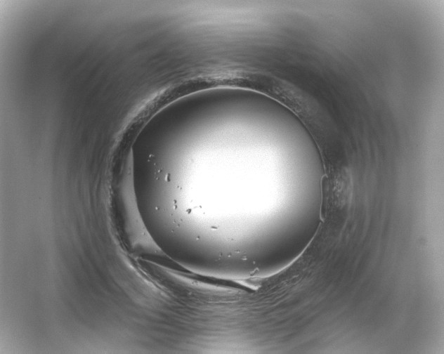 X0000066090732200603131203