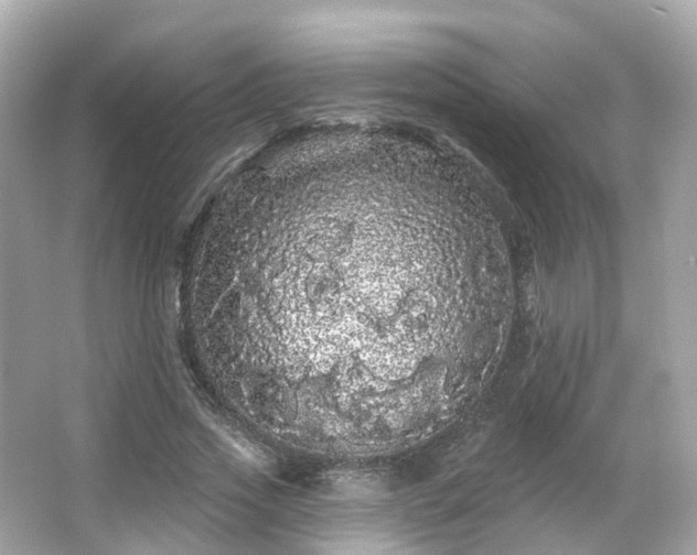 X0000066090733200603131203