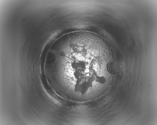 X0000066090734200603131203