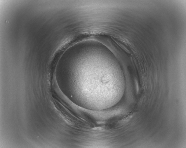 X0000066090735200603131203