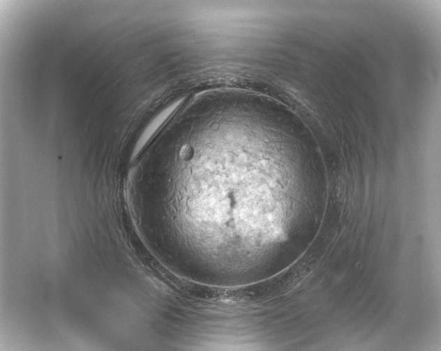 X0000066090737200603131203