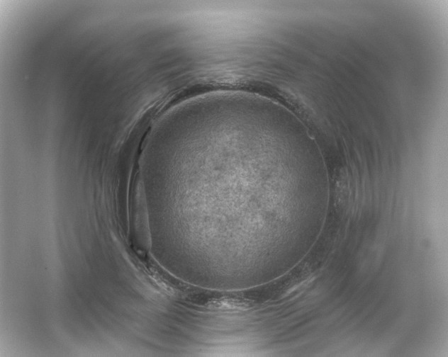 X0000066090739200603131203