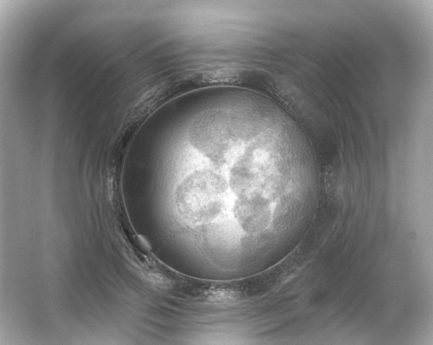 X0000066090741200603131203