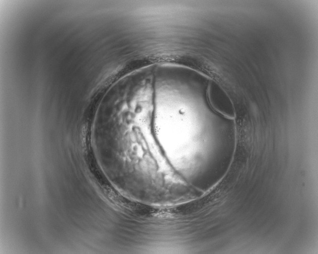 X0000066090742200603131203