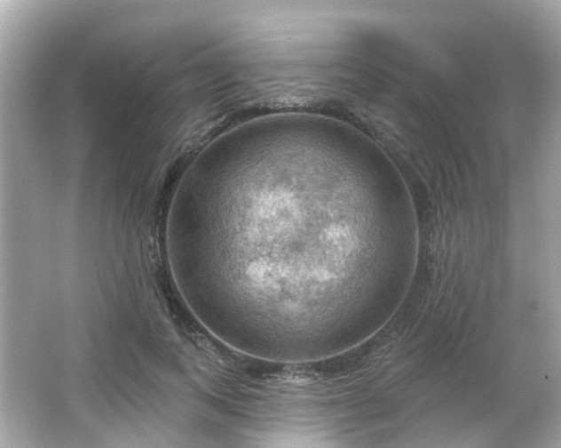 X0000066090743200603131203