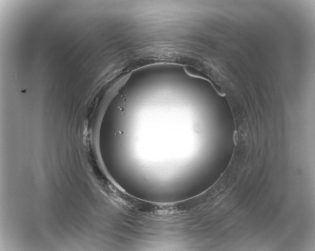 X0000066090744200603131203