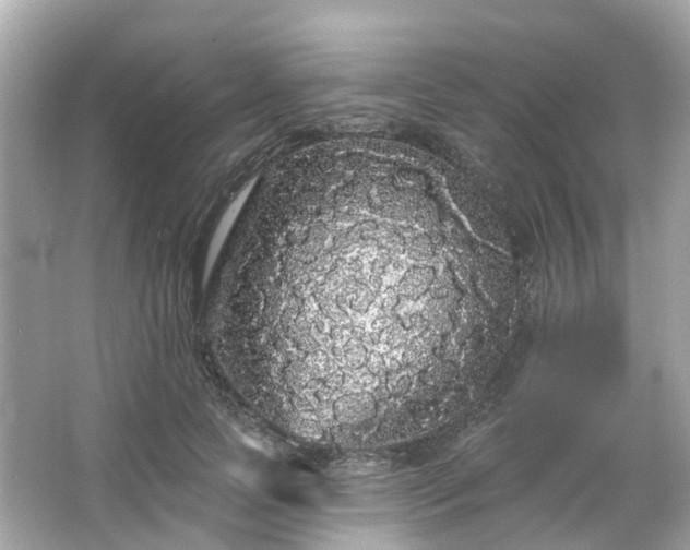 X0000066090745200603131203