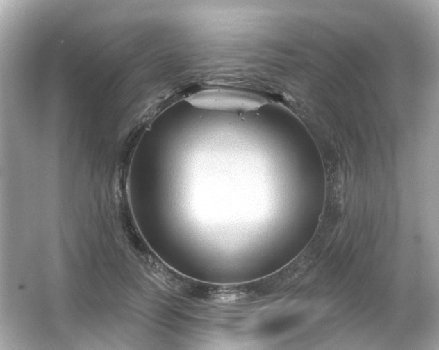 X0000066090746200603131203