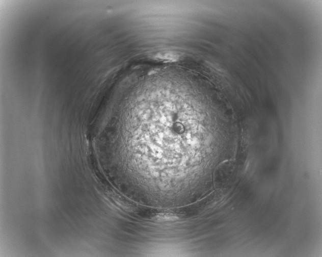 X0000066090749200603131203