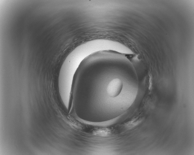 X0000066090750200603131203