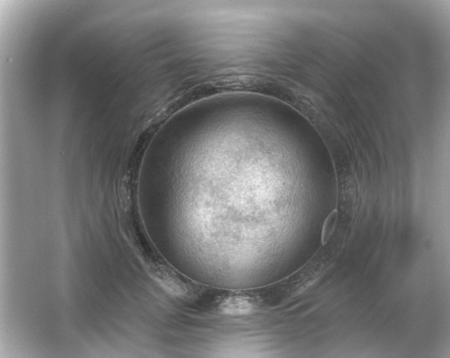 X0000066090751200603131203