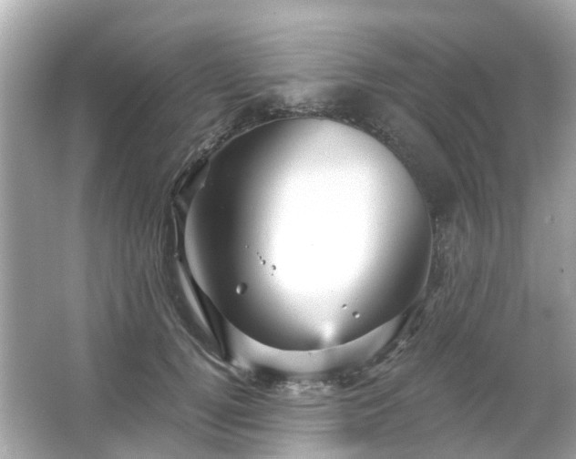 X0000066090752200603131203