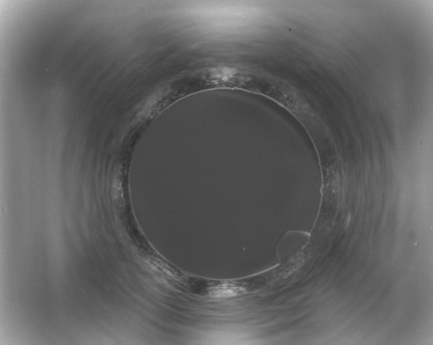 X0000066090754200603131203