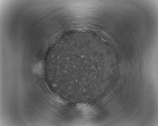 X0000066090757200603131203