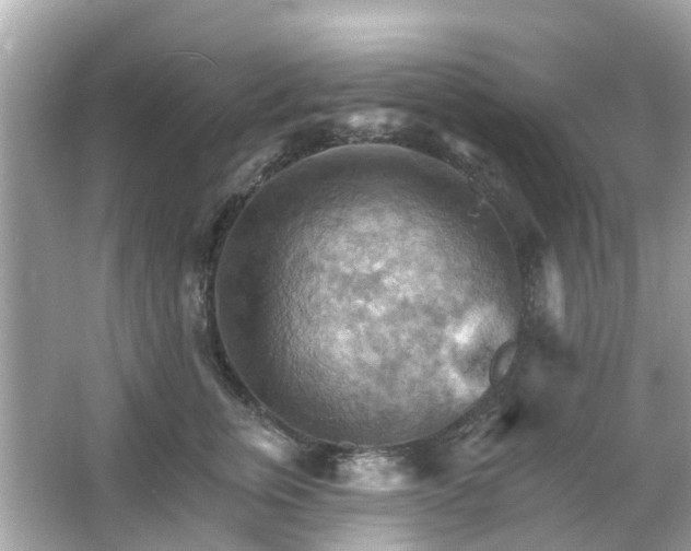 X0000066090759200603131203