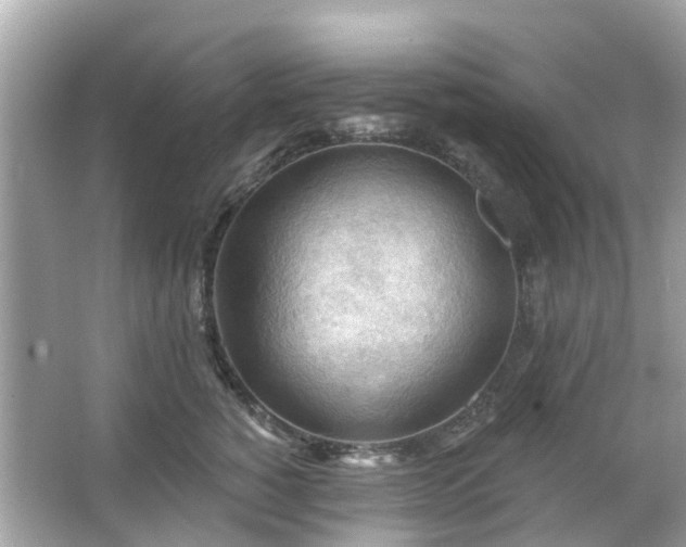 X0000066090760200603131203