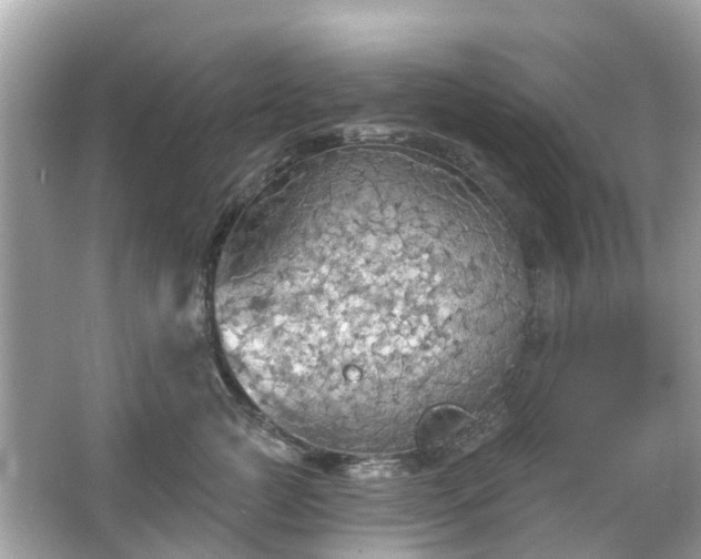 X0000066090761200603131203