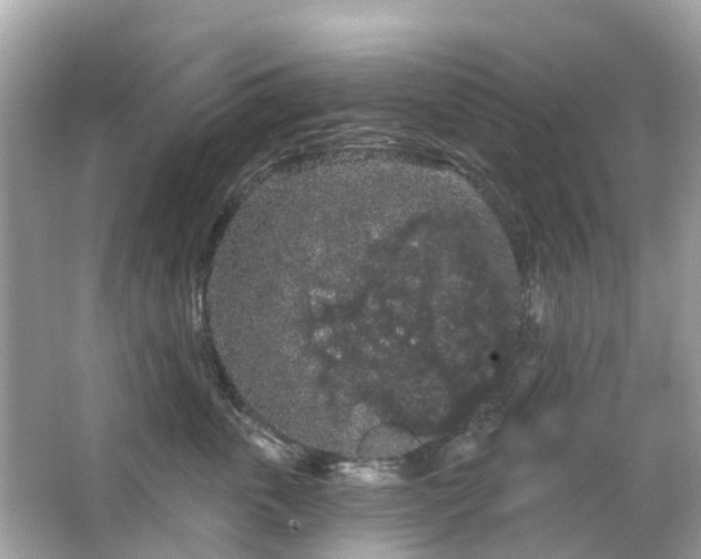 X0000066090763200603131203