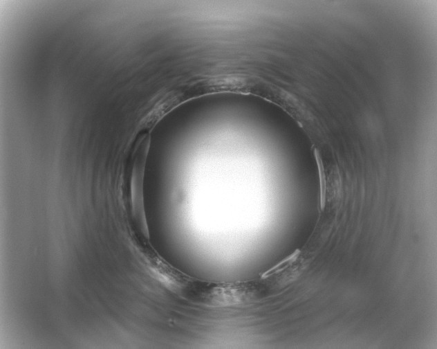 X0000066090764200603131203