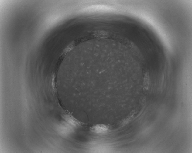 X0000066090765200603131203