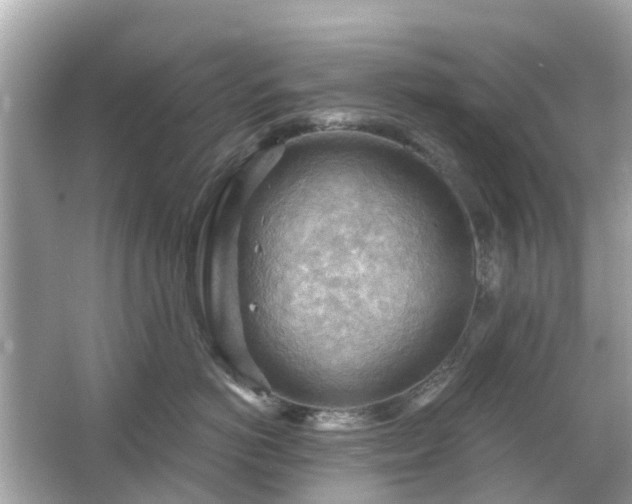 X0000066090766200603131203