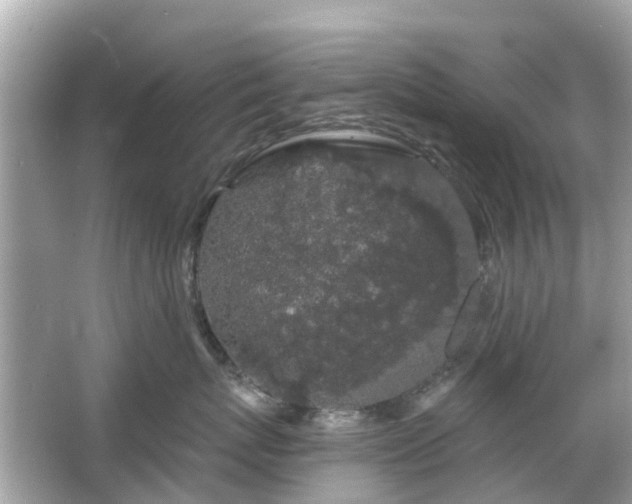 X0000066090767200603131203