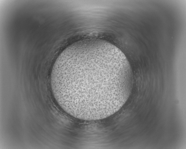 X0000066090769200603131203