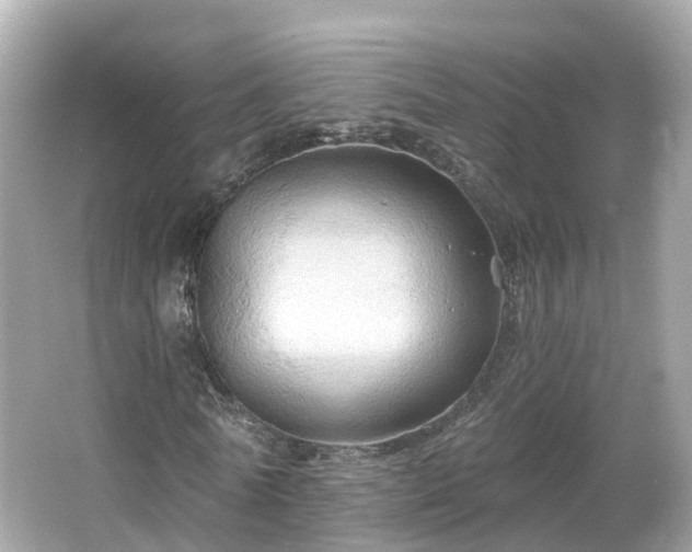 X0000066090770200603131203