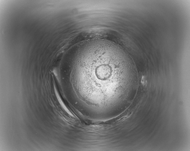 X0000066090771200603131203