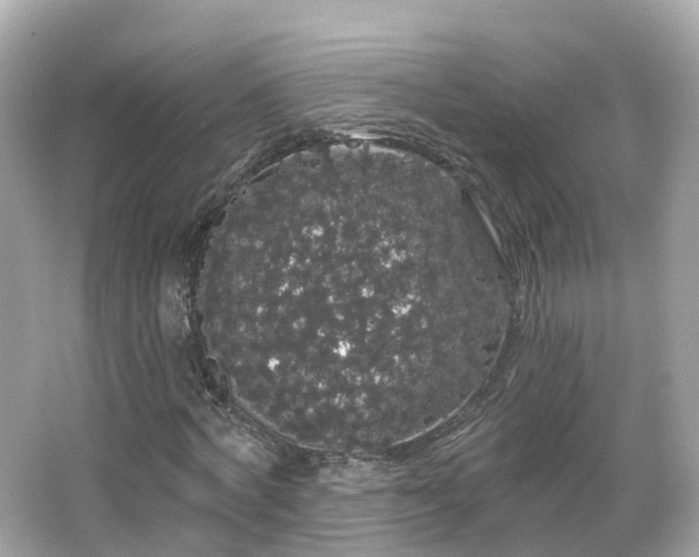 X0000066090772200603131203